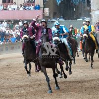 PALIO DI SIENA 2 Luglio 2015 foto palio di siena 2 luglio 2015 Torre
