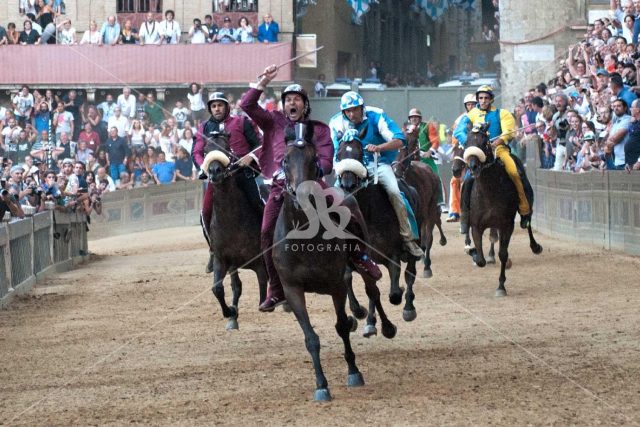 PALIO DI SIENA 2 Luglio 2015 foto palio di siena 2 luglio 2015 Torre